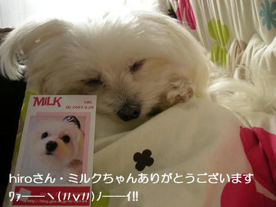 DSCN7878.JPG