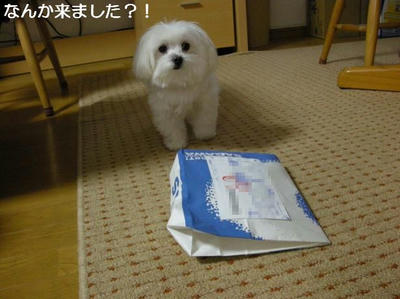 DSCN7887.JPG