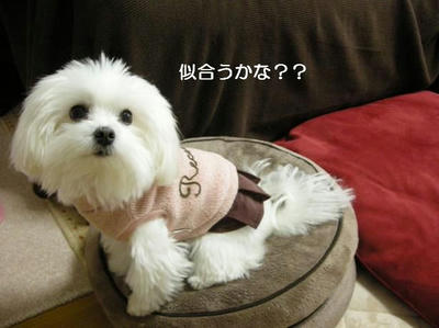 DSCN7897.JPG