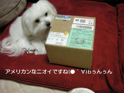 DSCN7916.JPG