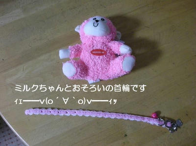 DSCN7918.JPG