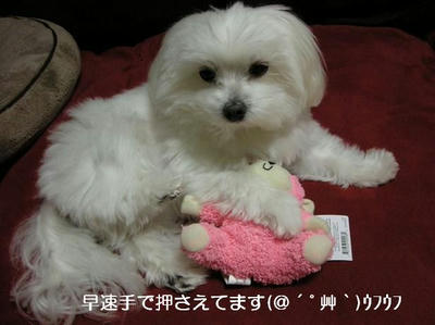 DSCN7922.JPG