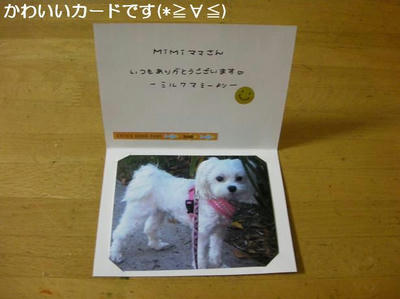 DSCN7924.JPG