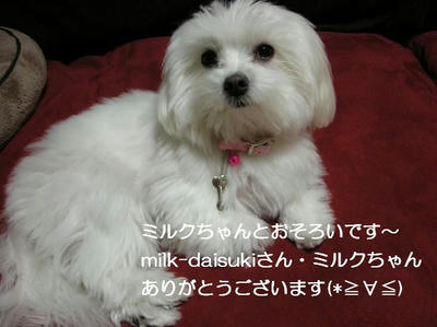 DSCN7925.JPG