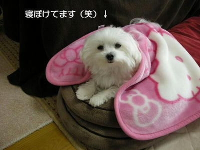 DSCN7927.JPG