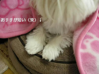 DSCN7931.JPG