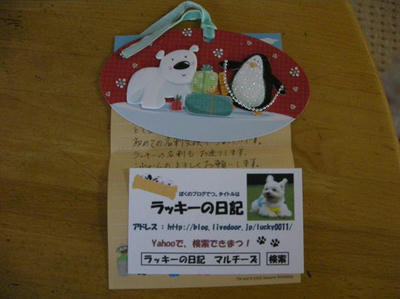 DSCN7936.JPG