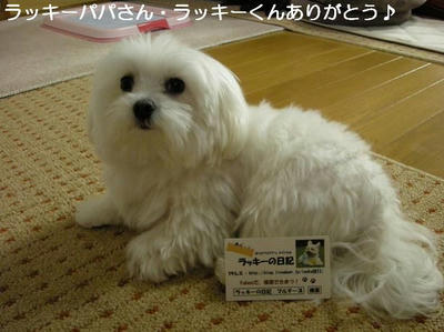 DSCN7939.JPG