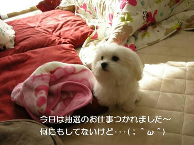DSCN7953.JPG