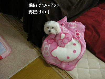 DSCN7945.JPG