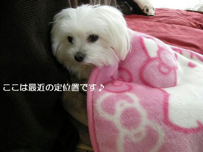 DSCN7948.JPG