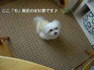DSCN7950.JPG