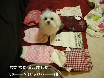DSCN8102.JPG