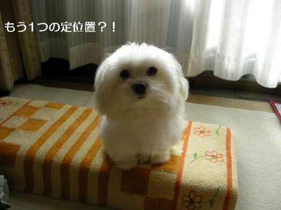 DSCN8109.JPG