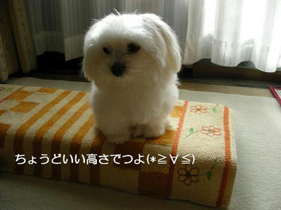 DSCN8111.JPG
