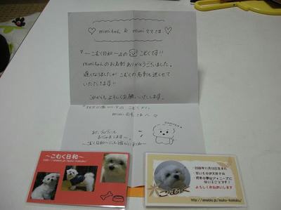 DSCN8112.JPG