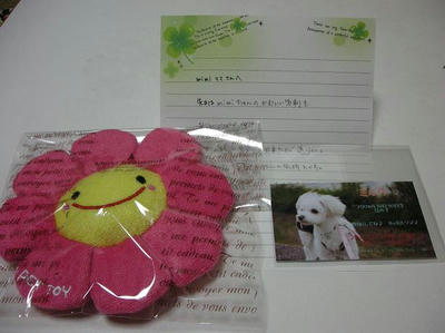 DSCN8113.JPG