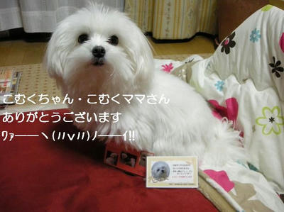 DSCN8115.JPG