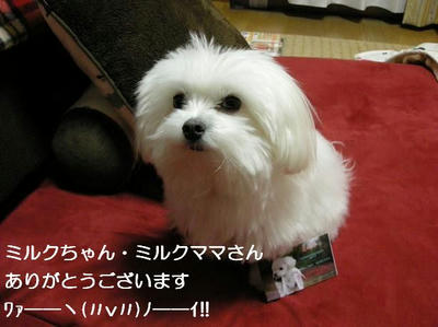 DSCN8117.JPG