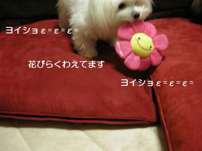DSCN8128.JPG