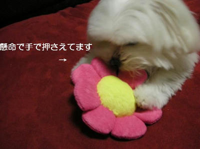 DSCN8130.JPG