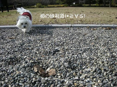 DSCN8154.JPG