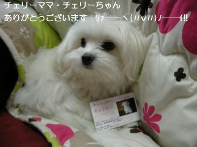 DSCN8165.JPG