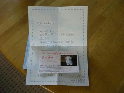 DSCN8166.JPG
