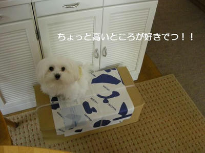 DSCN8168.JPG
