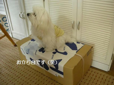 DSCN8174.JPG