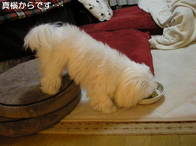 DSCN8180.JPG
