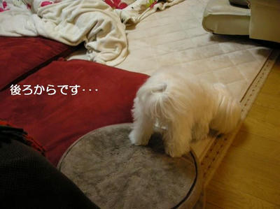 DSCN8181.JPG