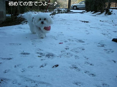 DSCN8194.JPG