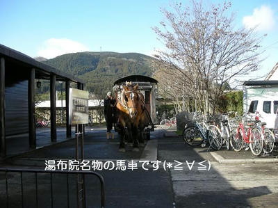 DSCN8199.JPG