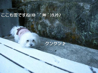 DSCN8216.JPG