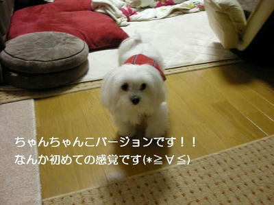 DSCN8234.JPG