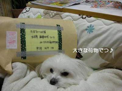 DSCN8250.JPG
