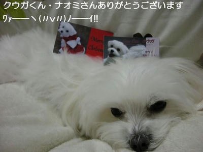 DSCN8252.JPG