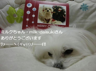 DSCN8253.JPG