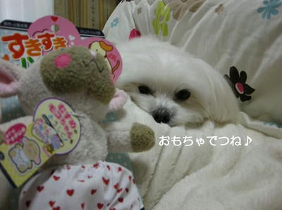 DSCN8255.JPG