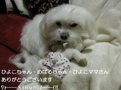 DSCN8258.JPG