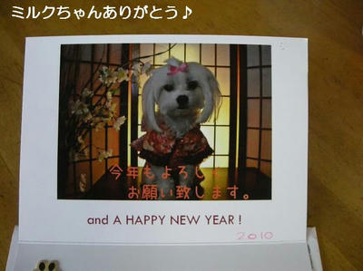 DSCN8248.JPG