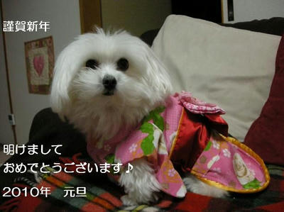 DSCN8268.JPG