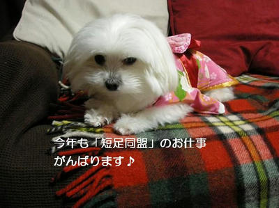 DSCN8273.JPG