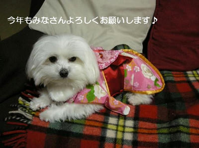 DSCN8275.JPG