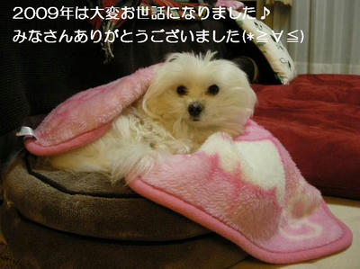 DSCN8244.JPG