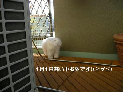 DSCN8295.JPG