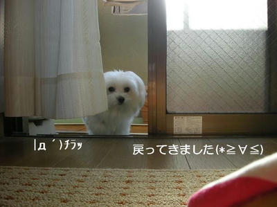 DSCN8302.JPG
