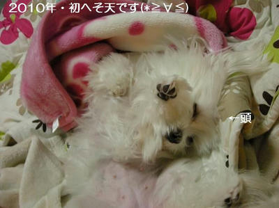 DSCN8313.JPG