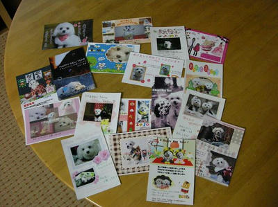 DSCN8329.JPG